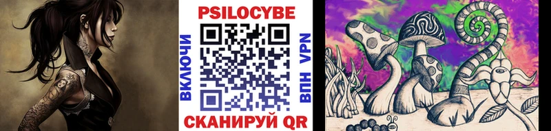 Галлюциногенные грибы Psilocybine cubensis  Шлиссельбург 